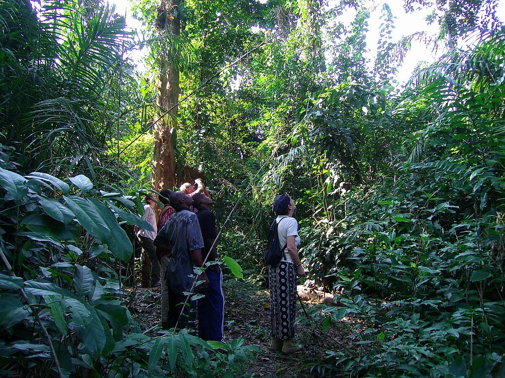 Kongo Dschungel Tour