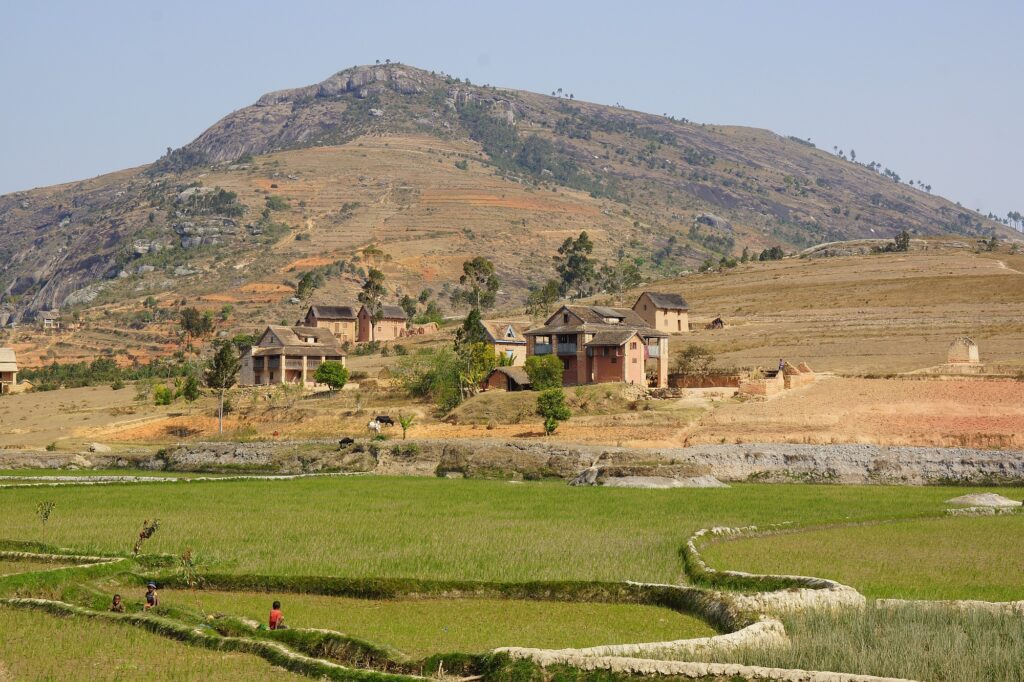 Madagaskar Opener 014 2000px