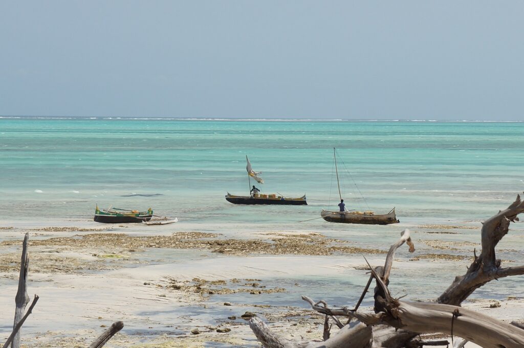 Madagaskar Opener 017 2000px