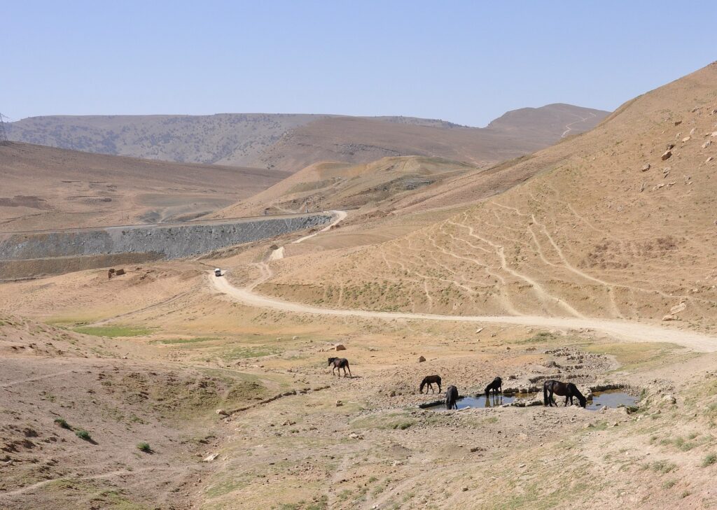 Usbekistan Opener 36 2000px