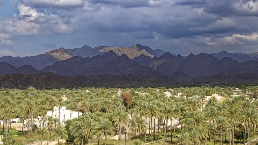 Oman Fotos Neu 2000 px 030