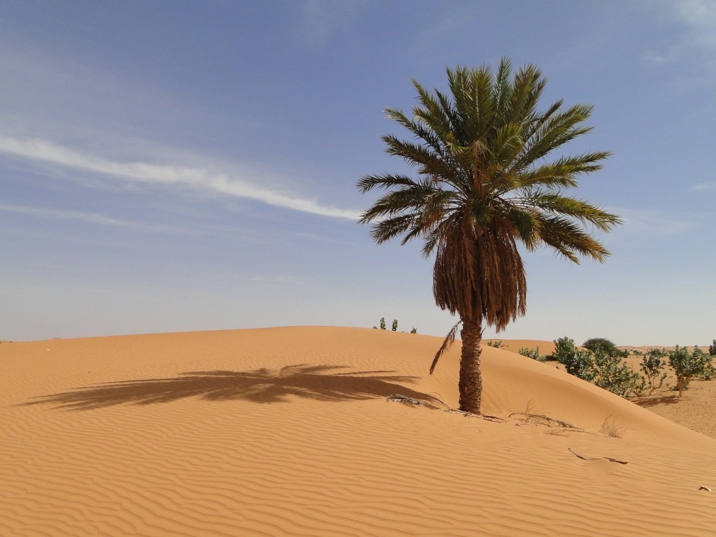 Mauretanien-006-1024px