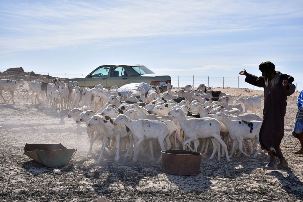 Mauretanien Neu 2000px 003