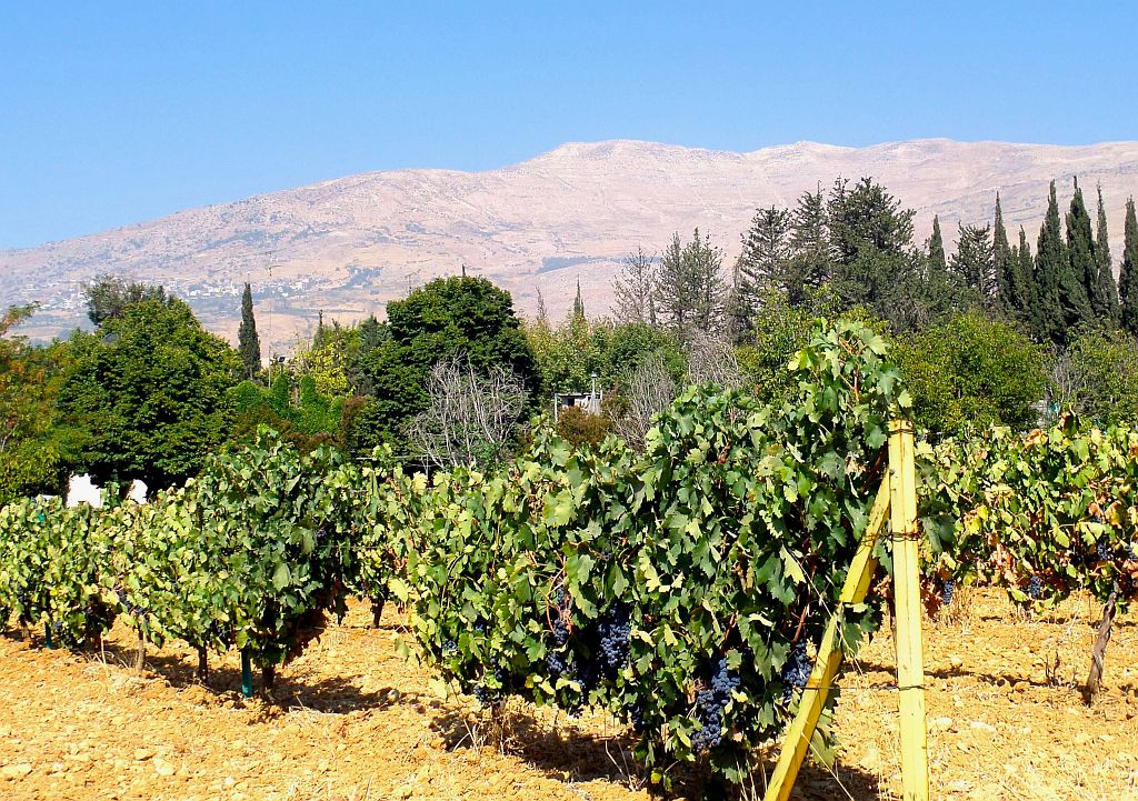 Libanon-025-1024px