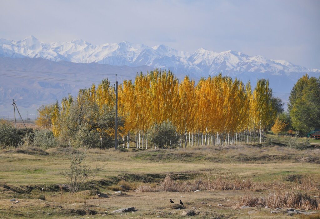 Kirgistan 025 2000px