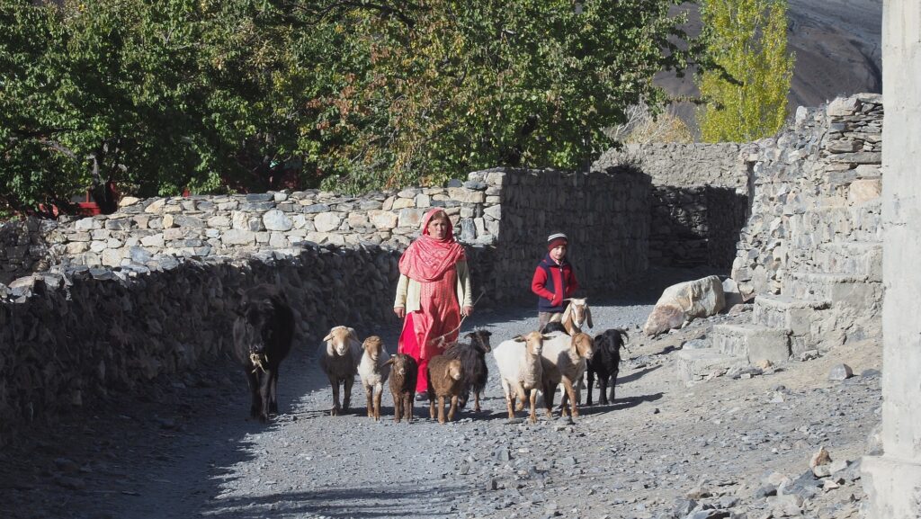 Pakistan-Chapruson-011-2000px