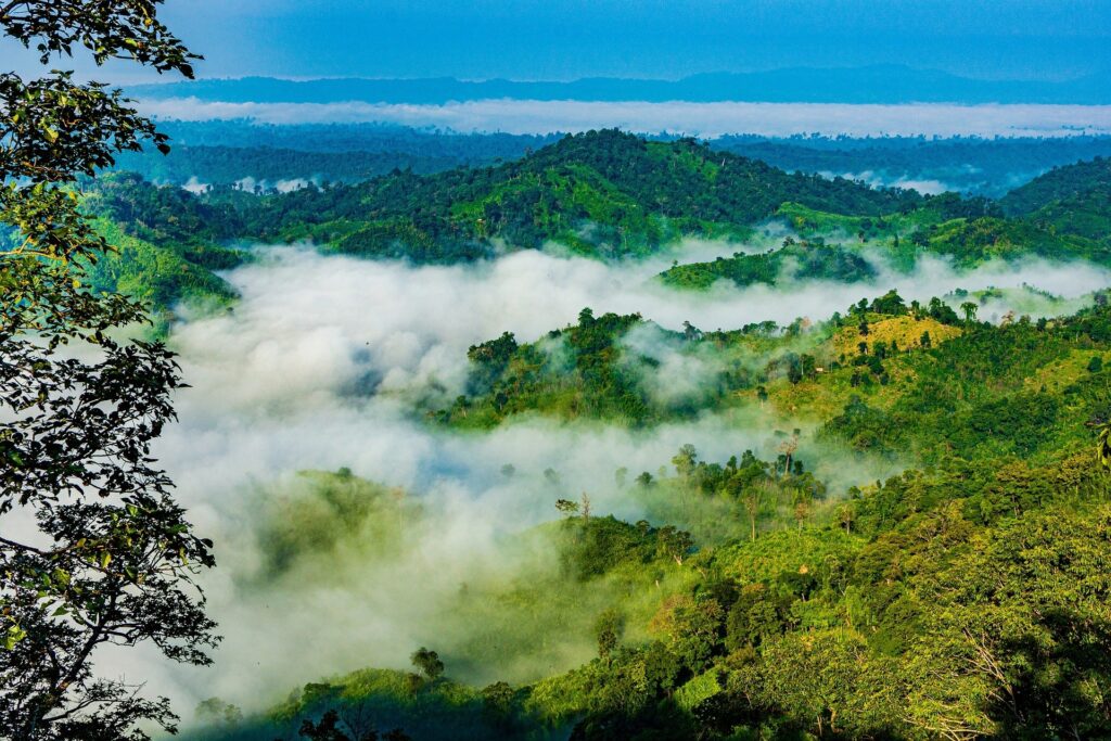 Bangladesch Slider 012 2000px