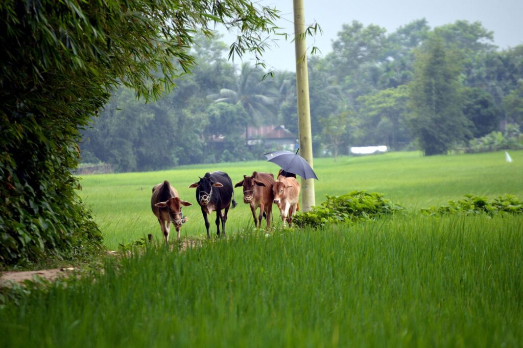 Bangladesch Slider 032 2000px
