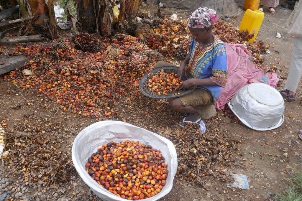 Westafrika 2000px 084