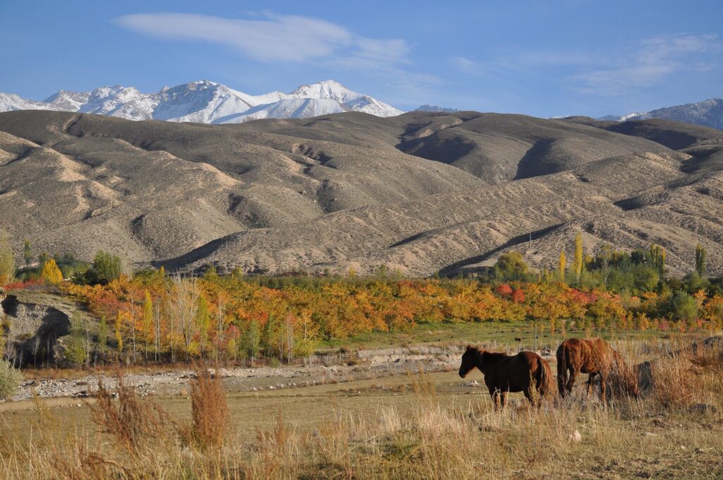 Kirgistan 031 2000px