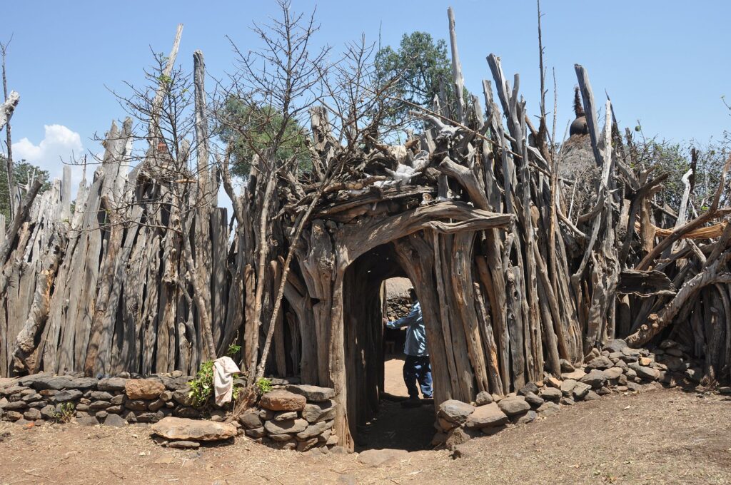 Äthiopien_new_2000px_30