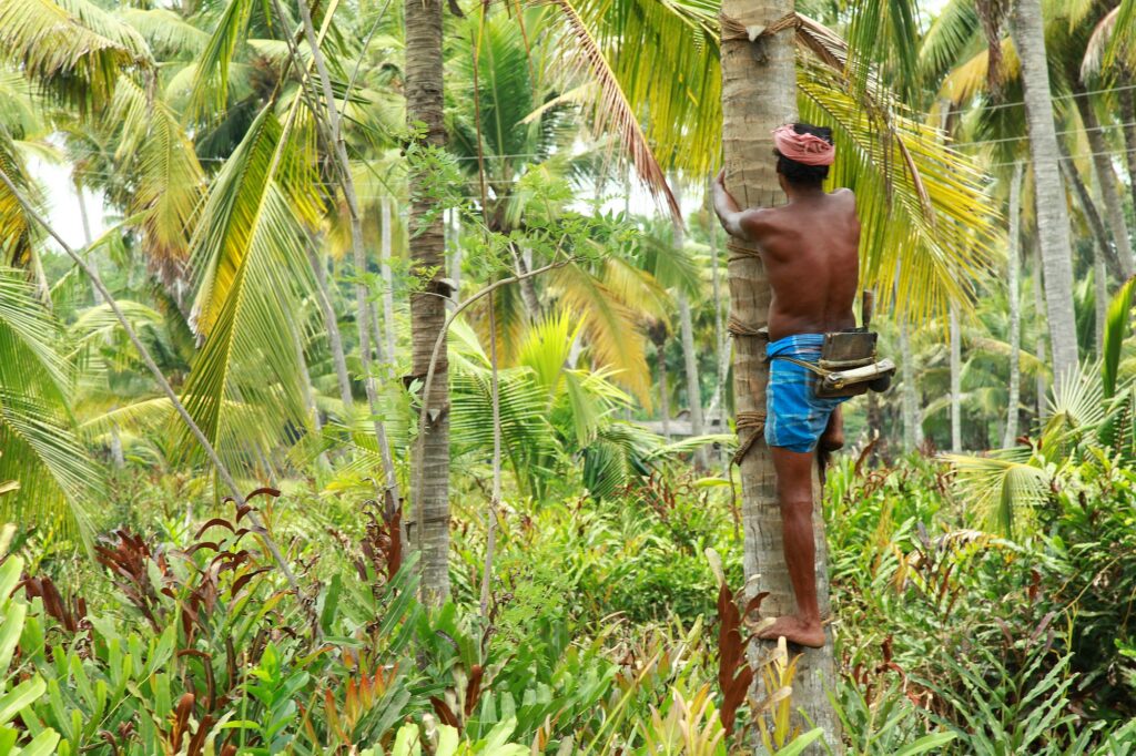 Indien_Kerala_Slider_Neu_2000px_010