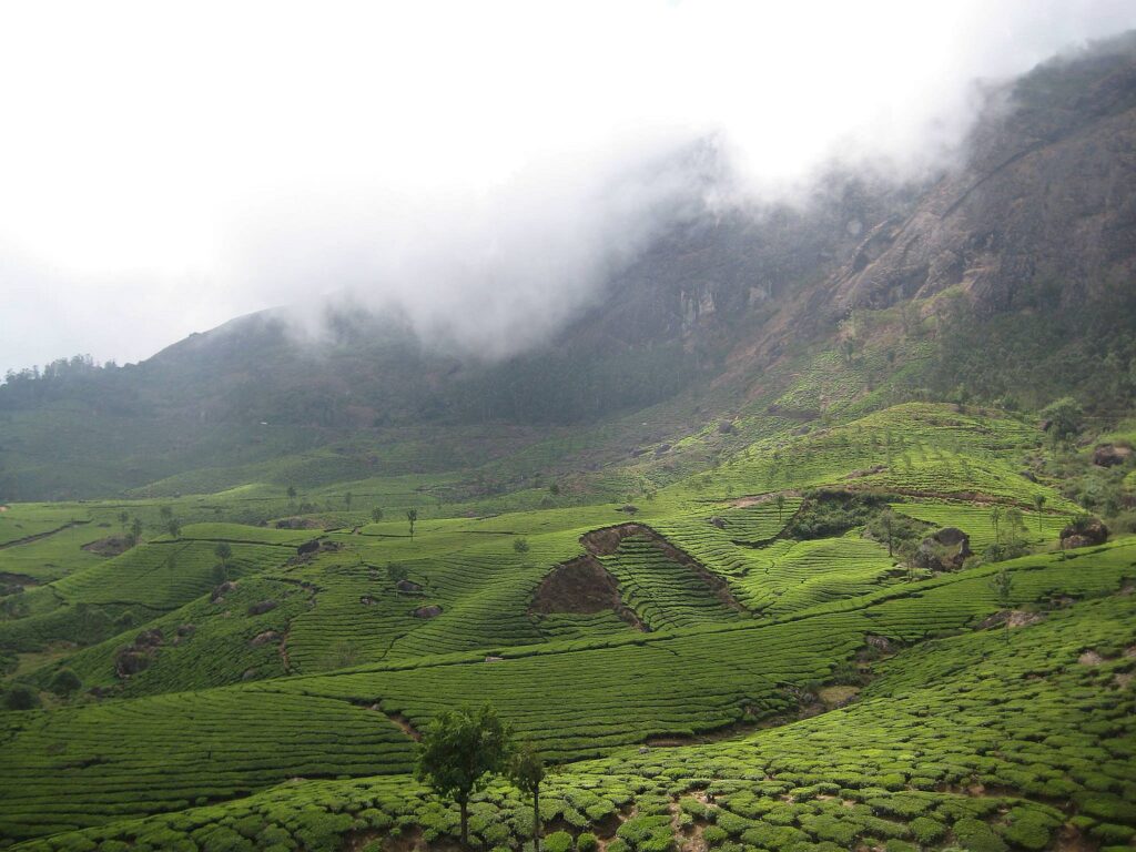 Indien_Kerala_Slider_Neu_2000px_013