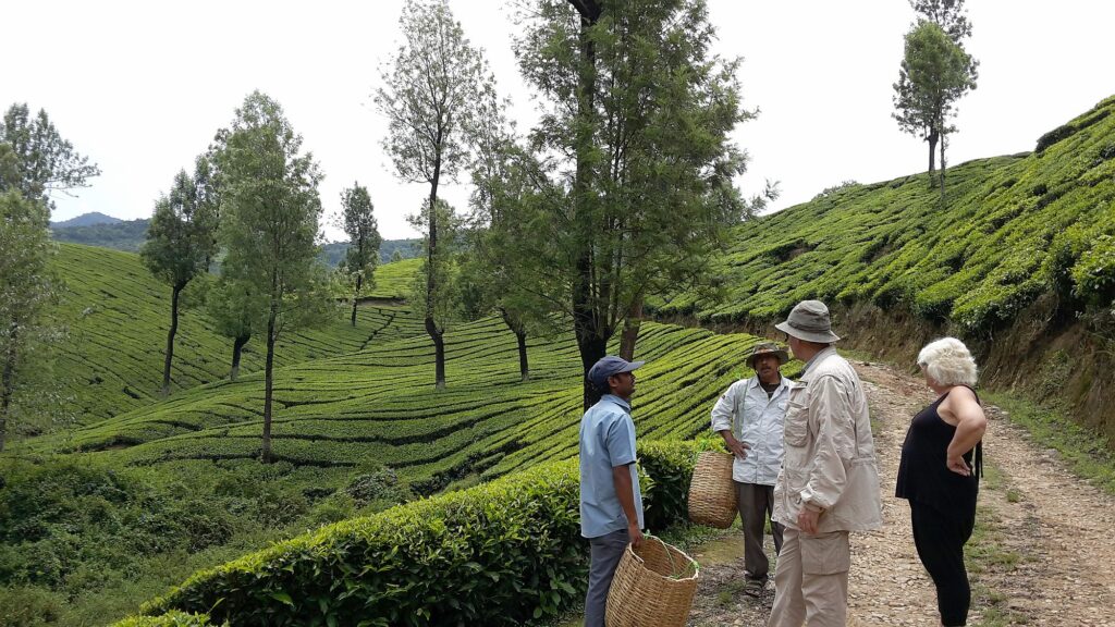 Indien_Kerala_Slider_Neu_2000px_015