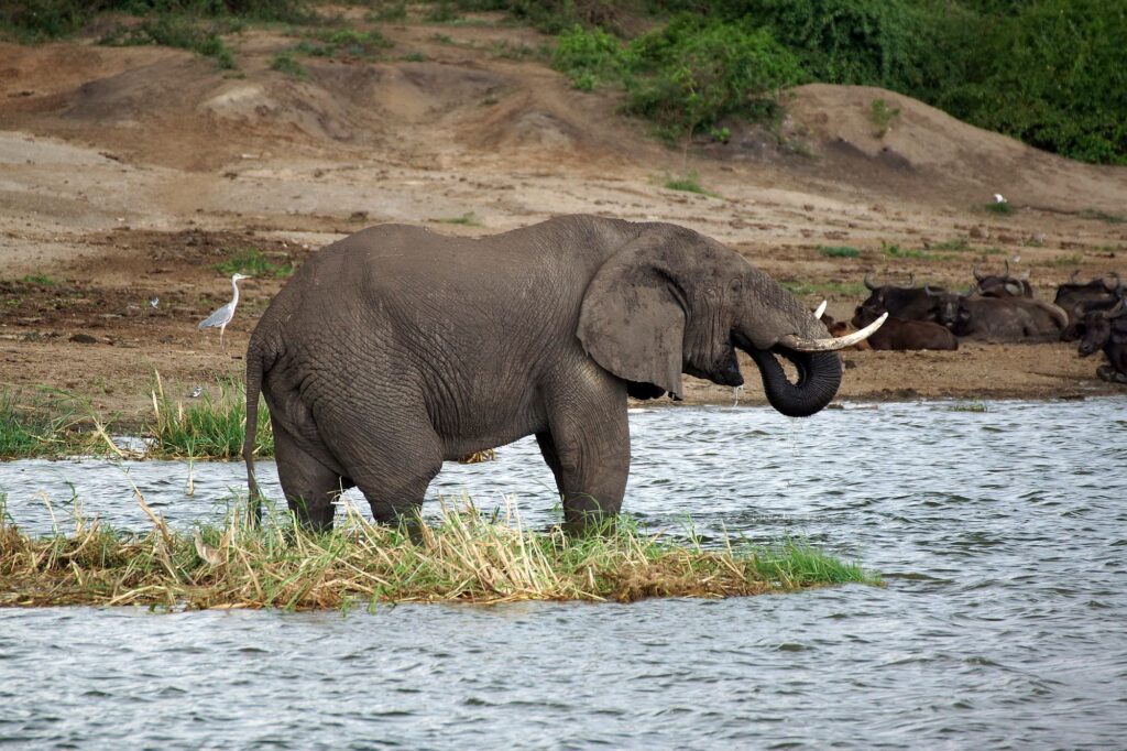 Uganda_Slider_2000px_014