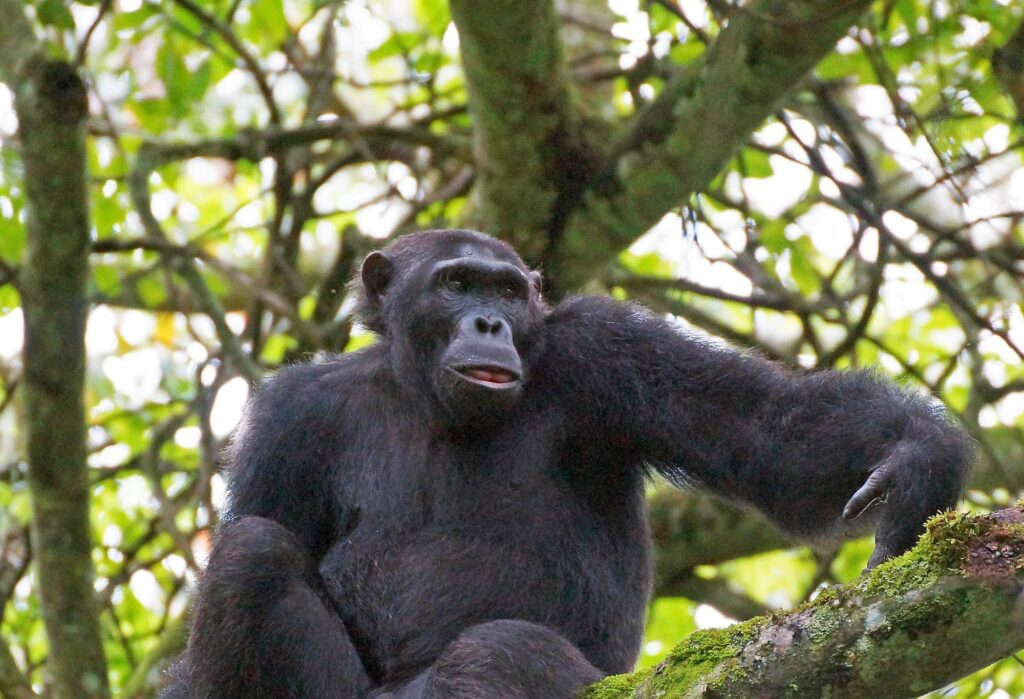 Uganda_Slider_2000px_021