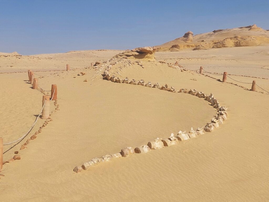 Ägypten_Andrea_2026_2000px_001