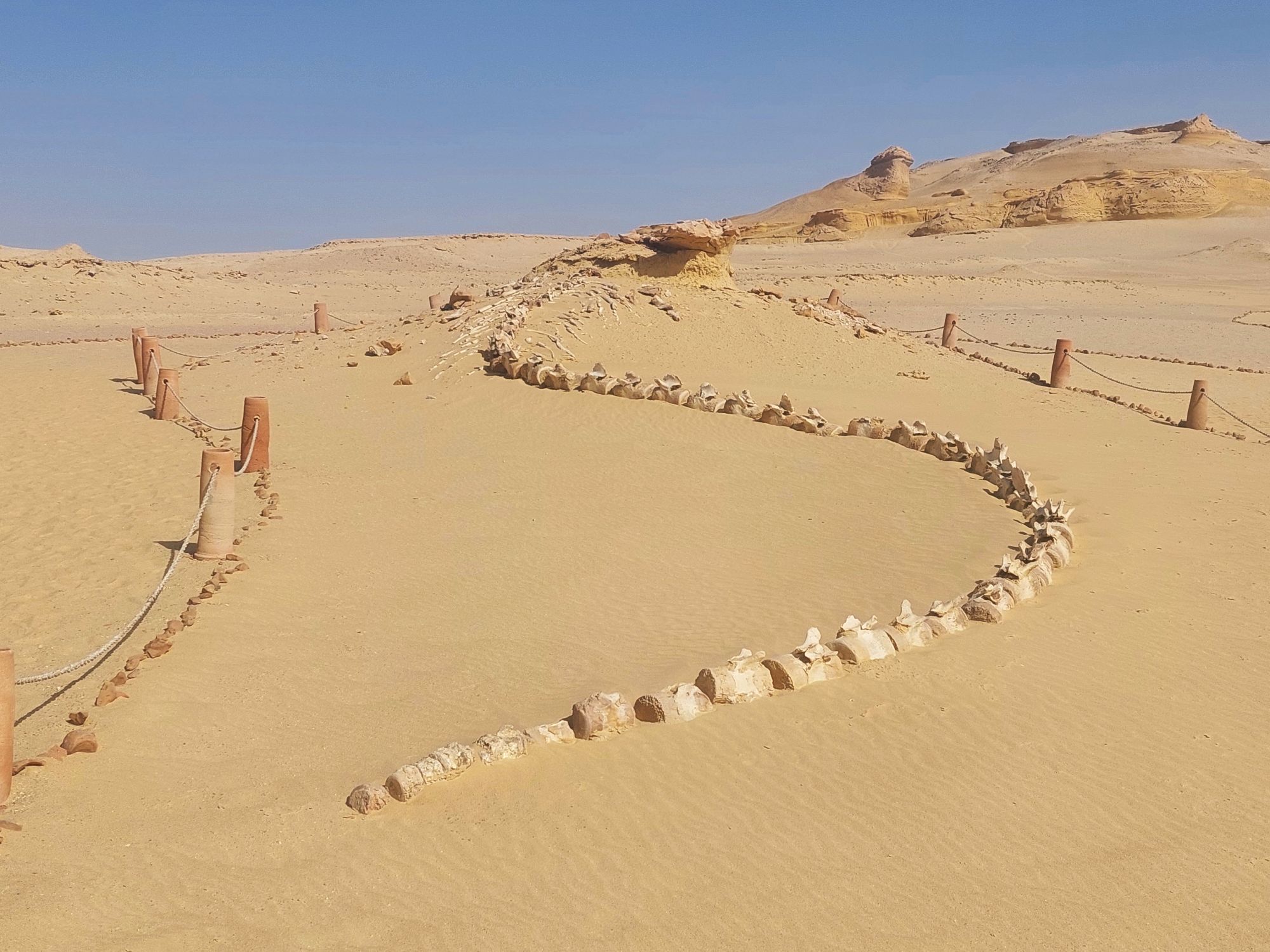 Ägypten-Reise mit Kairo, Alexandria und dem „Tal der Wale“!