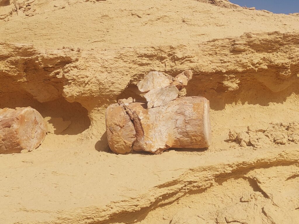 Ägypten_Andrea_2026_2000px_004