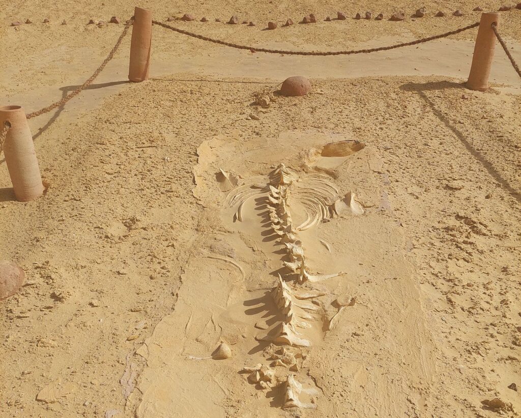 Ägypten_Andrea_2026_2000px_006