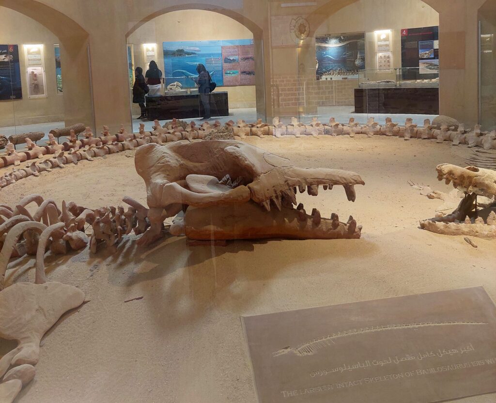 Ägypten_Andrea_2026_2000px_008