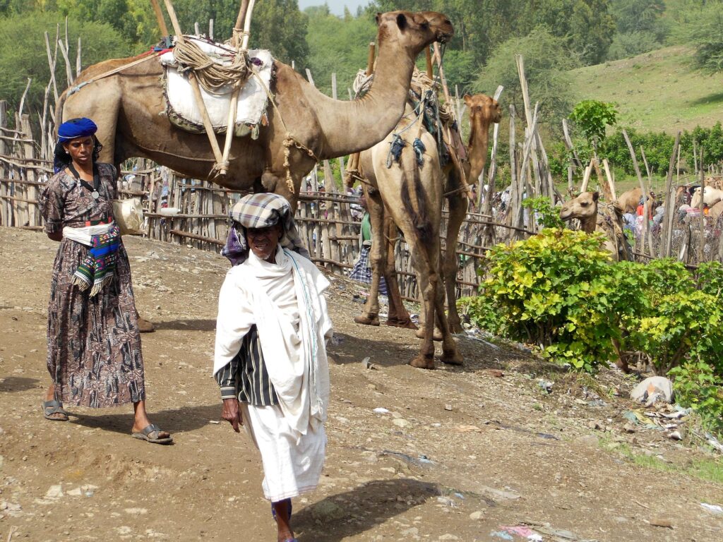 Aethiopien_new_2000px_67