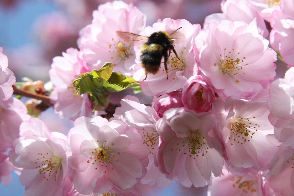 Japan-Slider-2000px-003