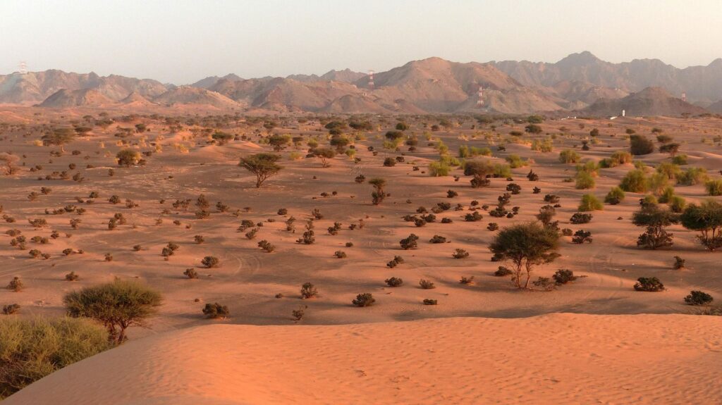 Oman-Fotos-Neu-2000-px-011