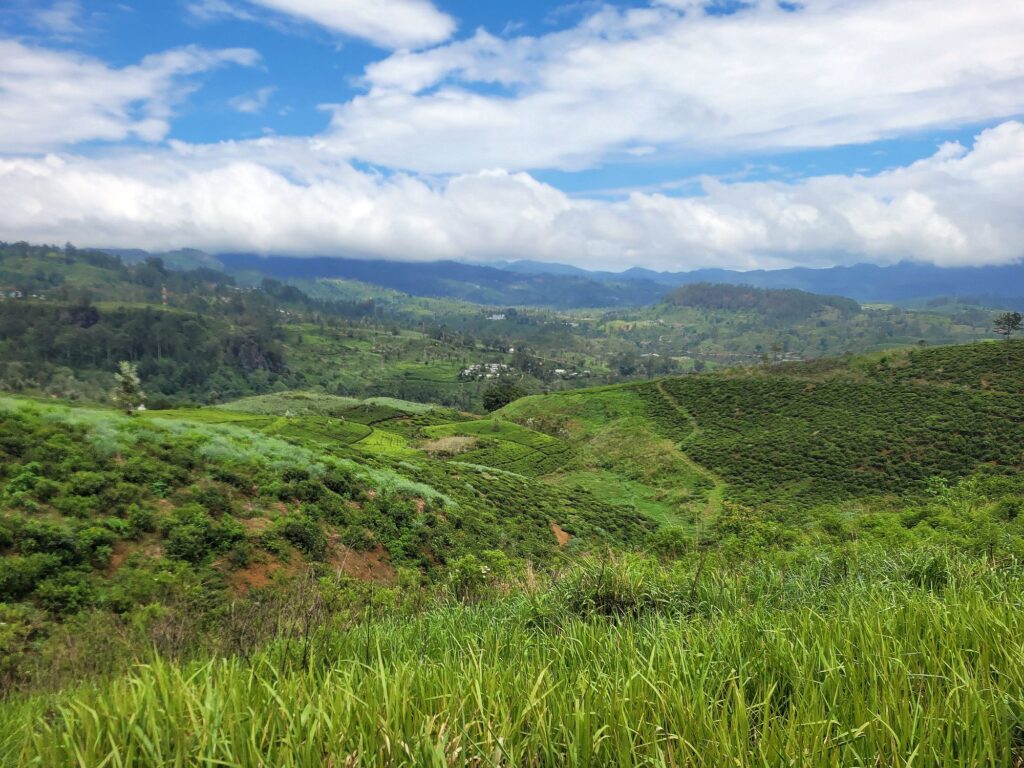 Sri_Lanka_Neu_2000px_064