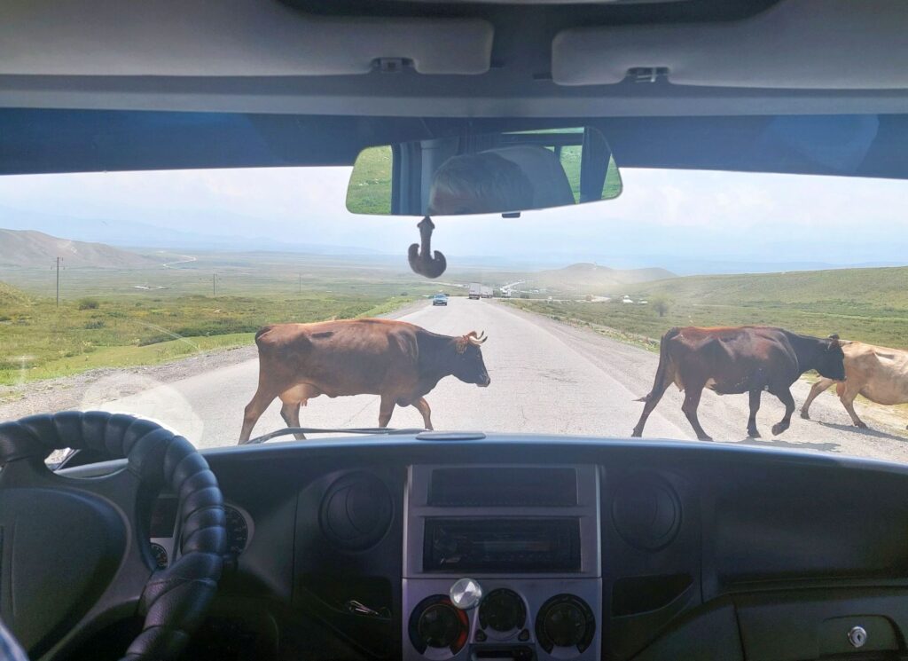 Usbekistan-NEU-2000px-003