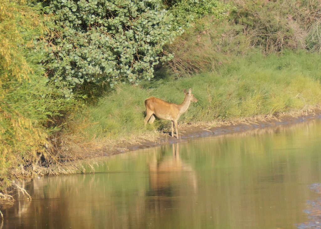 Usbekistan-NEU-2000px-019