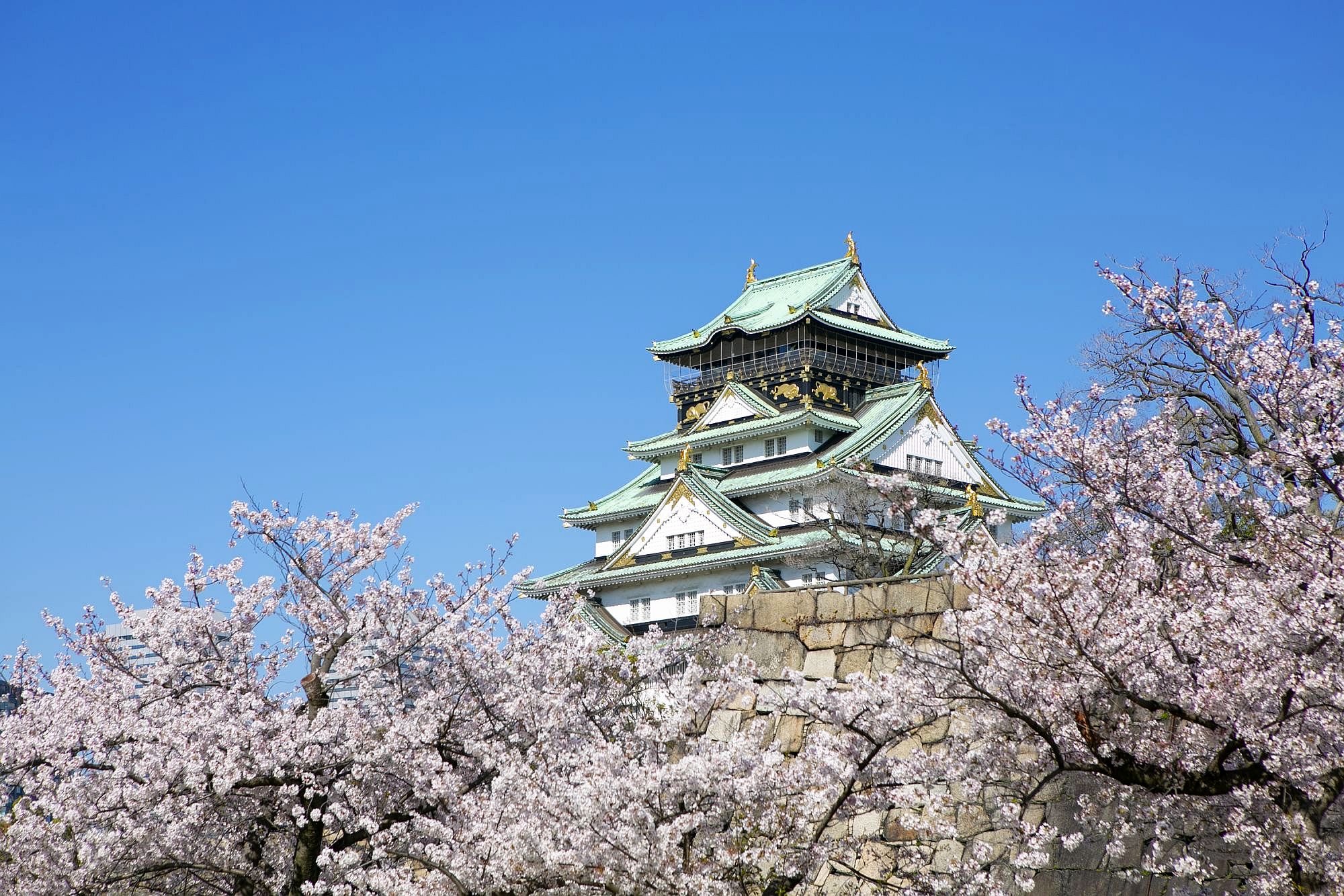 Japan – Zur Kirschblüte ins Kaiserreich